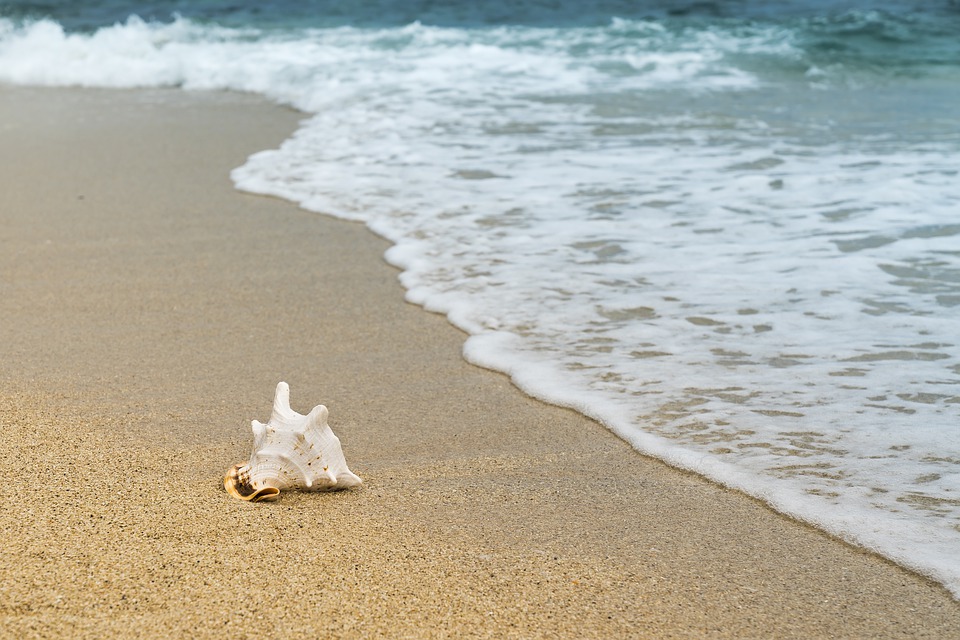 fotocamere spiaggia